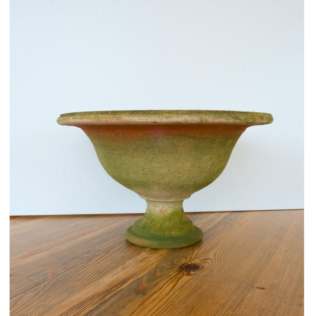 Venetian Fruit Bowls Medium